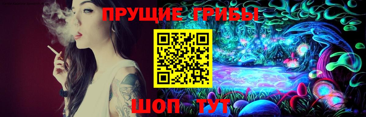 Псилоцибиновые грибы Psilocybe Ахтубинск